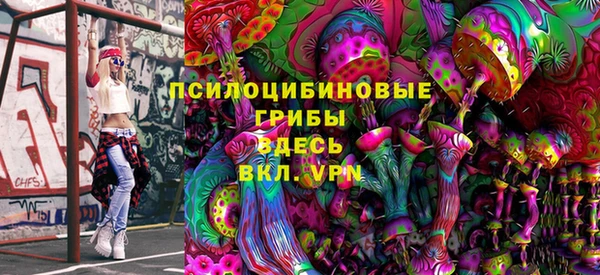 2c-b Осташков