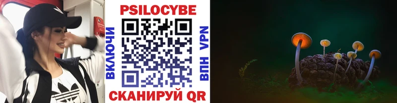 Псилоцибиновые грибы Psilocybine cubensis  Купить закладки  Тырныауз 